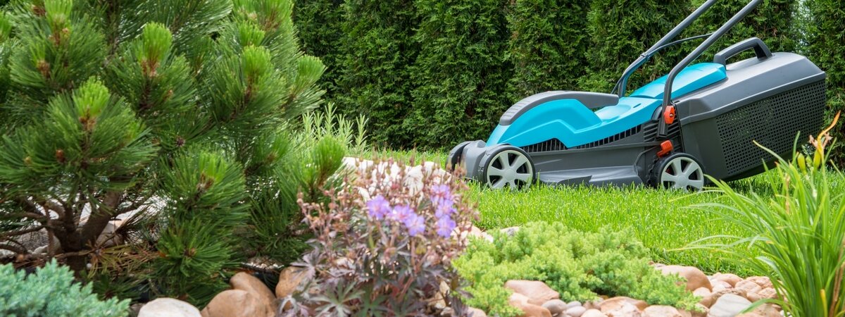 Alles voor een groen gazon