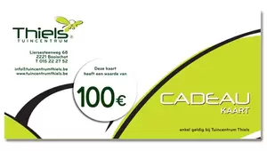 Cadeaukaart per post van €100